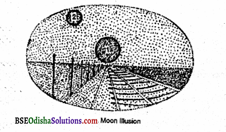 Define illusions and illusions caused by stimulus factors and illusions of movement and moon illusion Q6 1.2