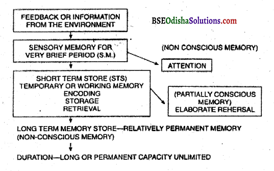What is memory Discuss the stages of memory Q 1